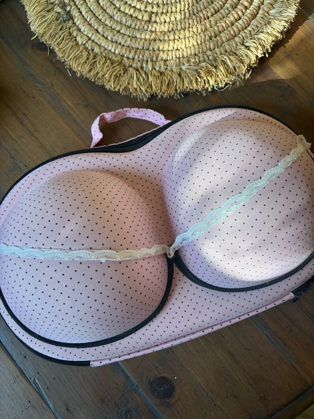 Bra travel bag
